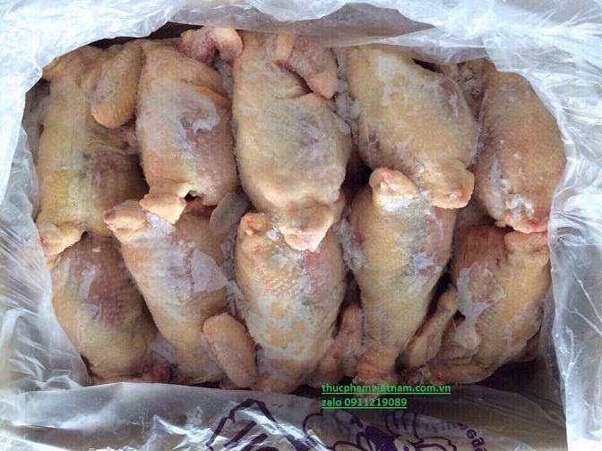 Cung Cấp Gà Đông Lạnh Cho Nhà Hàng, Quán Ăn